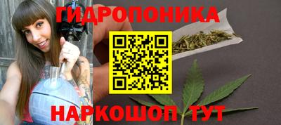 дмт Будённовск