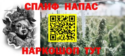 дмт Будённовск