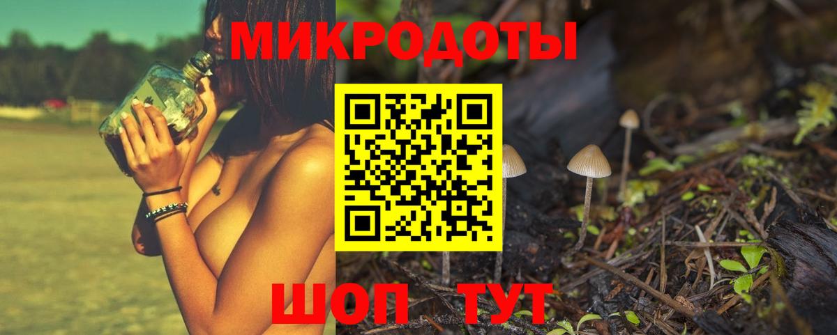 продажа наркотиков  Псилоцибиновые грибы Cubensis  Вход с VPN  Сланцы 